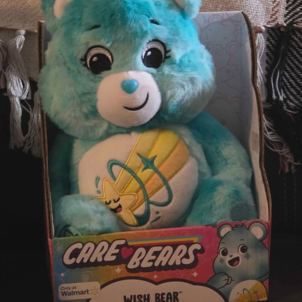 Care Bears Wish Bear